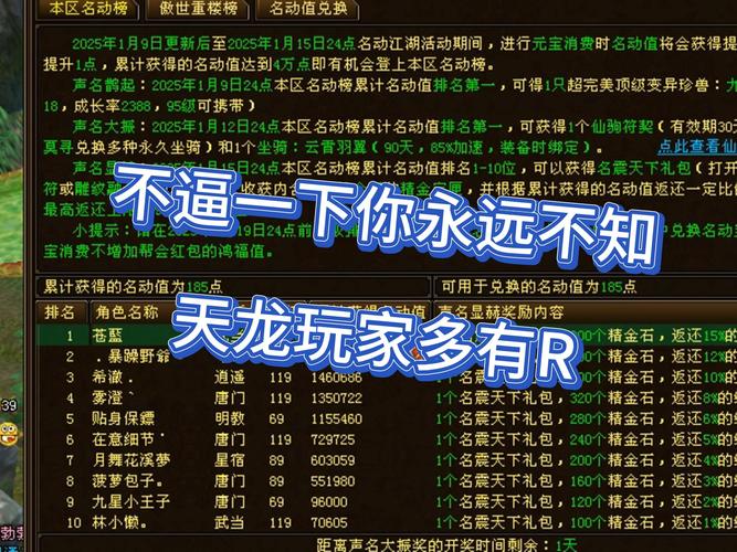 天龙私服玩法多样但风险高：未授权服务器带来的利弊分析