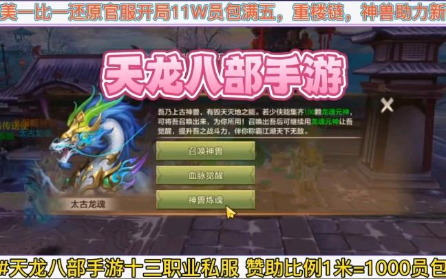 天龙私服：快速提升等级、获取顶级装备的独特游戏体验与丰富版本选择